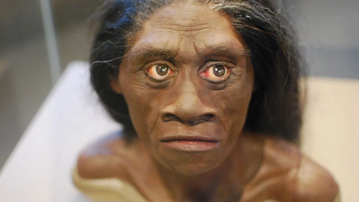 ‘Hobbit’lerin sonunu iklim değişikliği getirmiş olabilir: Araştırma