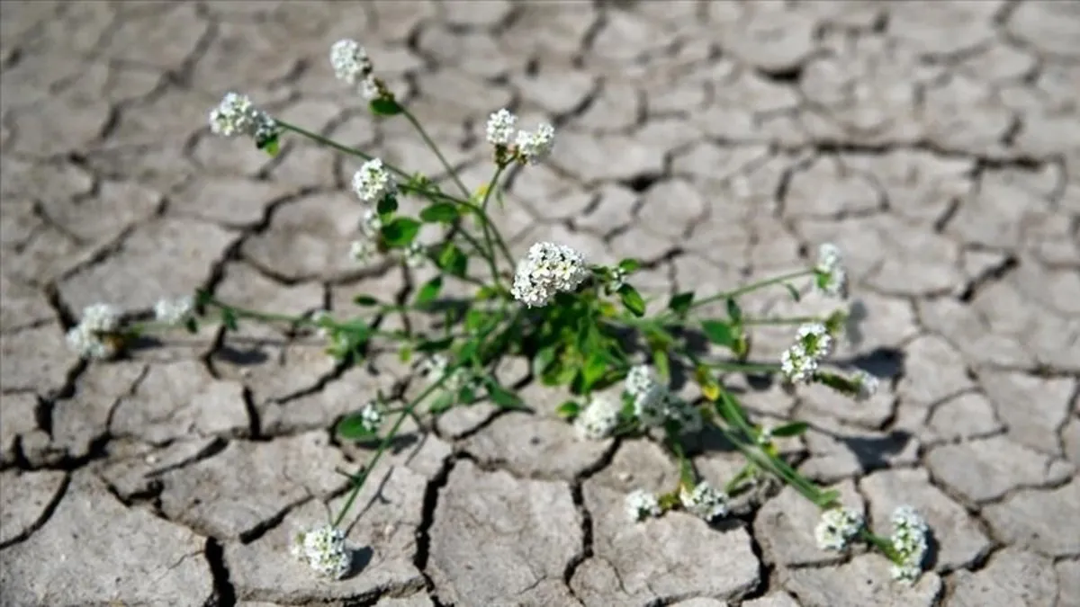 Türkiye’nin ilk İklim kanunu neler getiriyor? İşte 14 soruda merak edilenler…